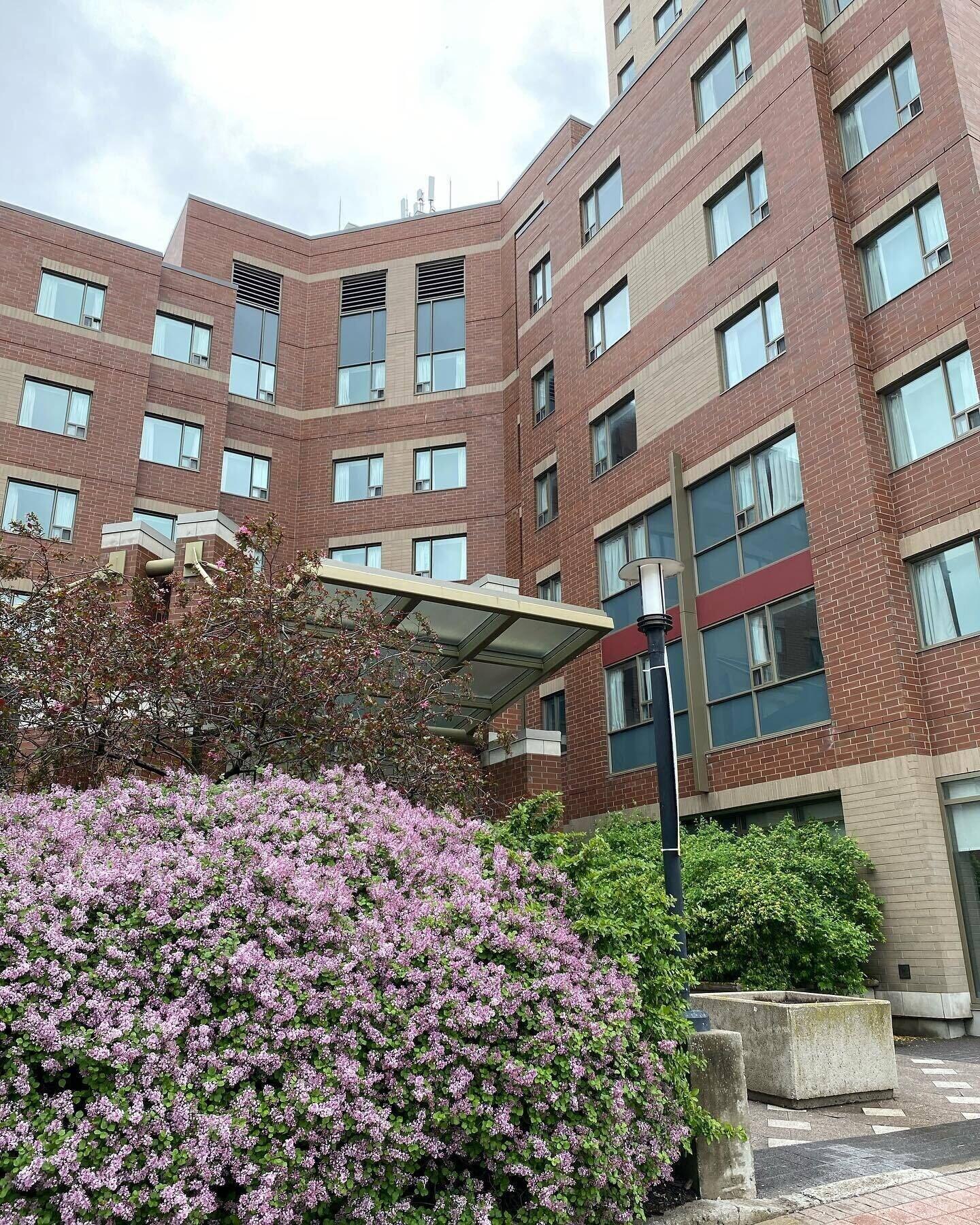 Varios University of Ottawa Residence