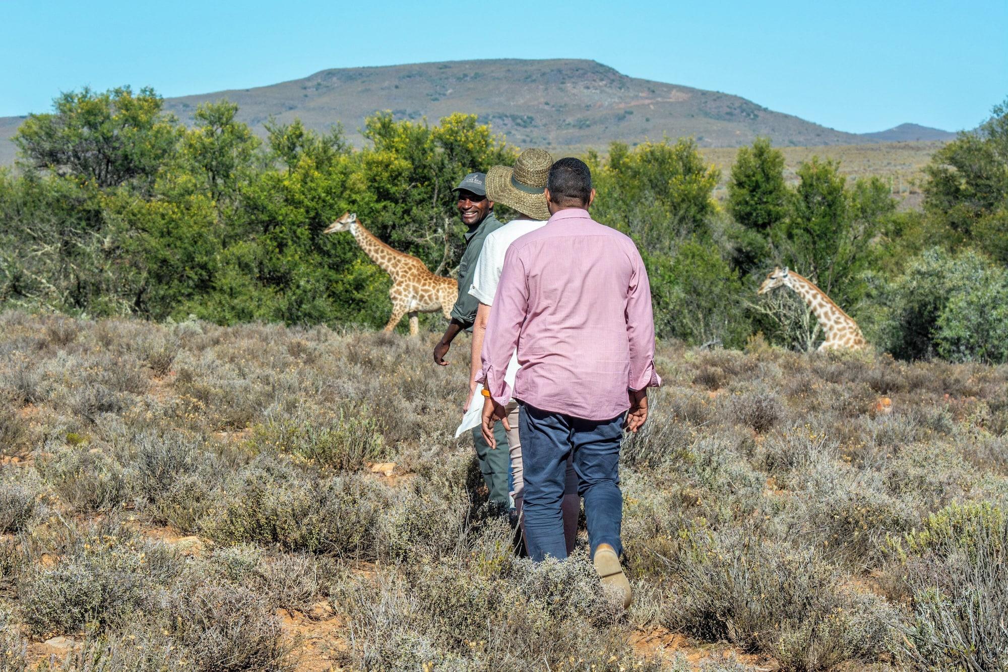 Instalaciones Recreativas Mont Eco Game Reserve