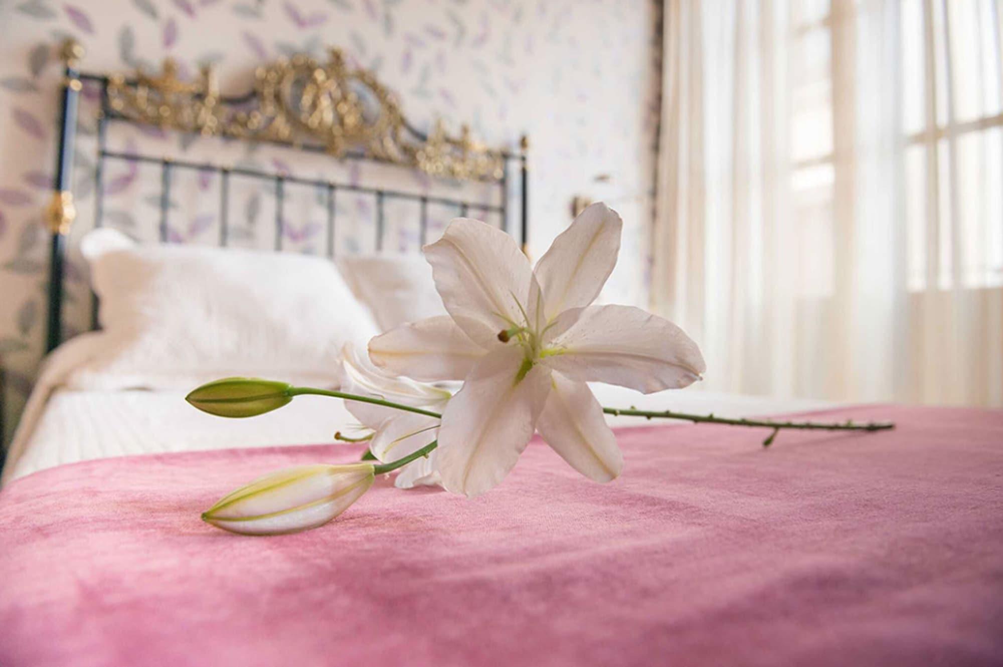 Habitación Hotel Las Nieves