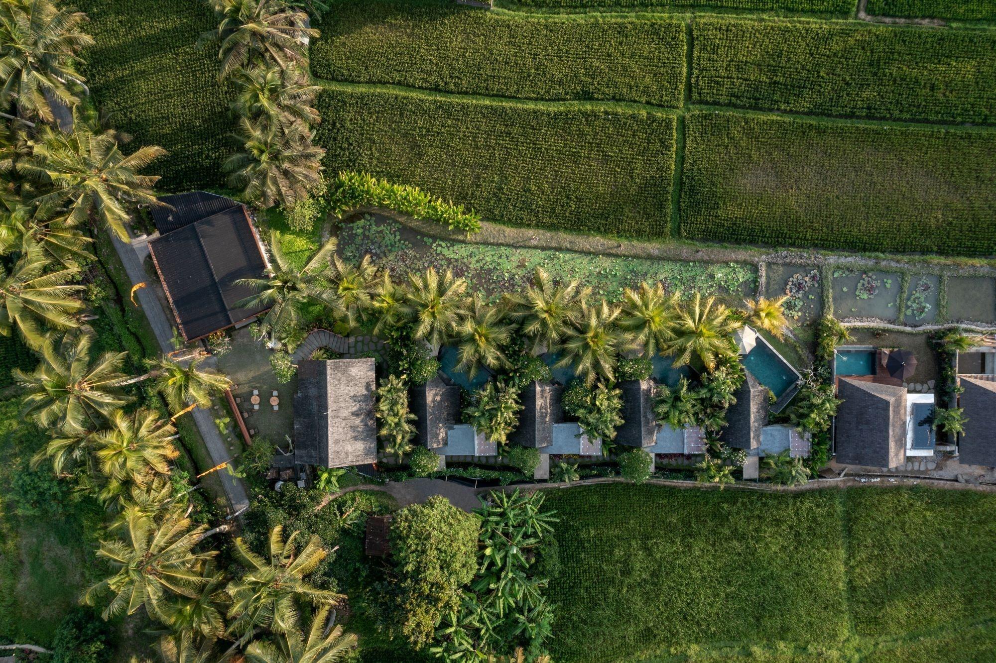 Varios Lasamana Villas Ubud by Pramana Villas