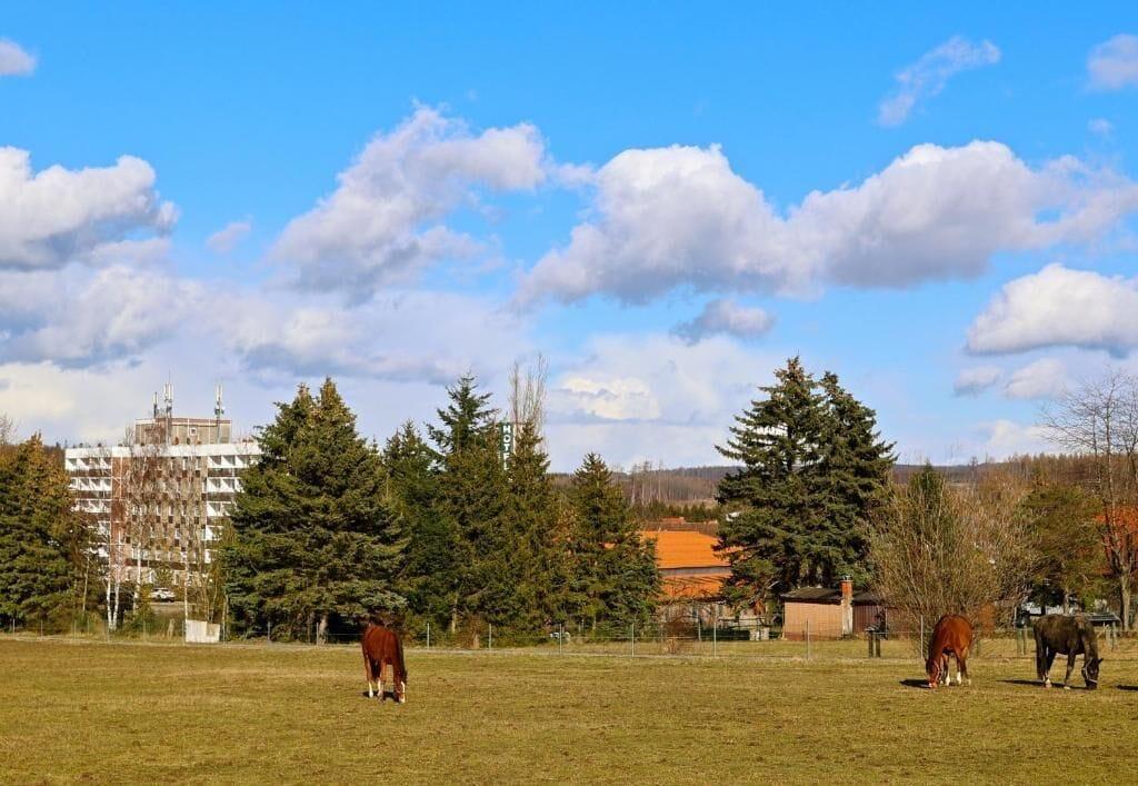 Varios Carea Harz Hotel Allrode