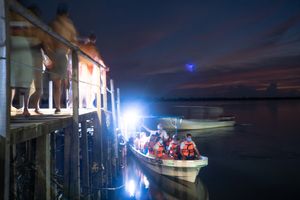 Actividad - Tour a la bioluminiscencia en Puerto Escondido.