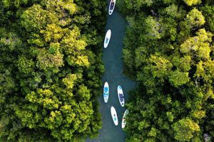Actividad - Paddle surf en los manglares de Progreso + Club de playa