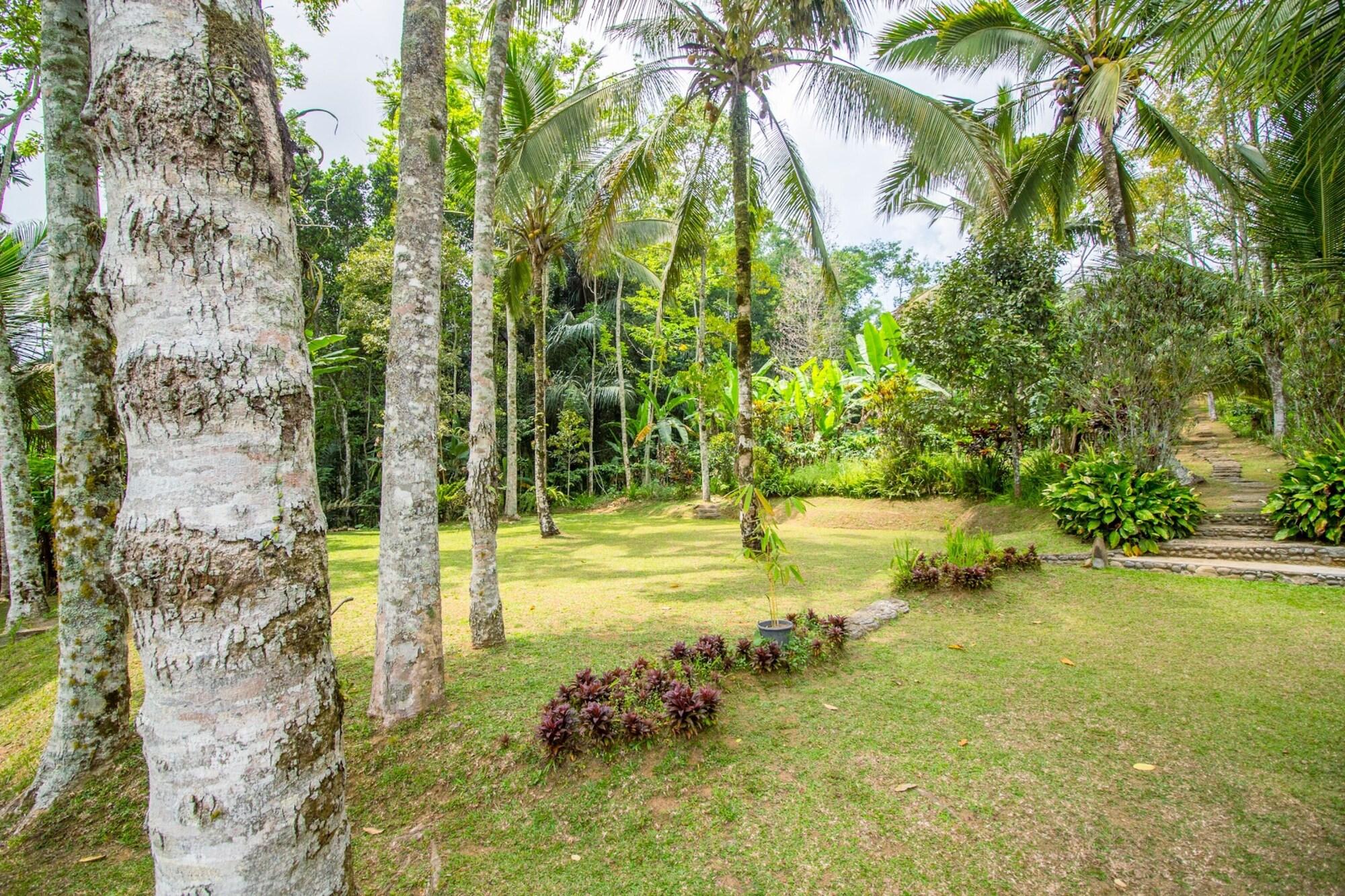 Comodidades del Alojamiento Pesona Bali Ecolodge