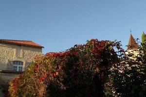 Alojamiento - Chambres d'Hôtes Maison Saint Privat