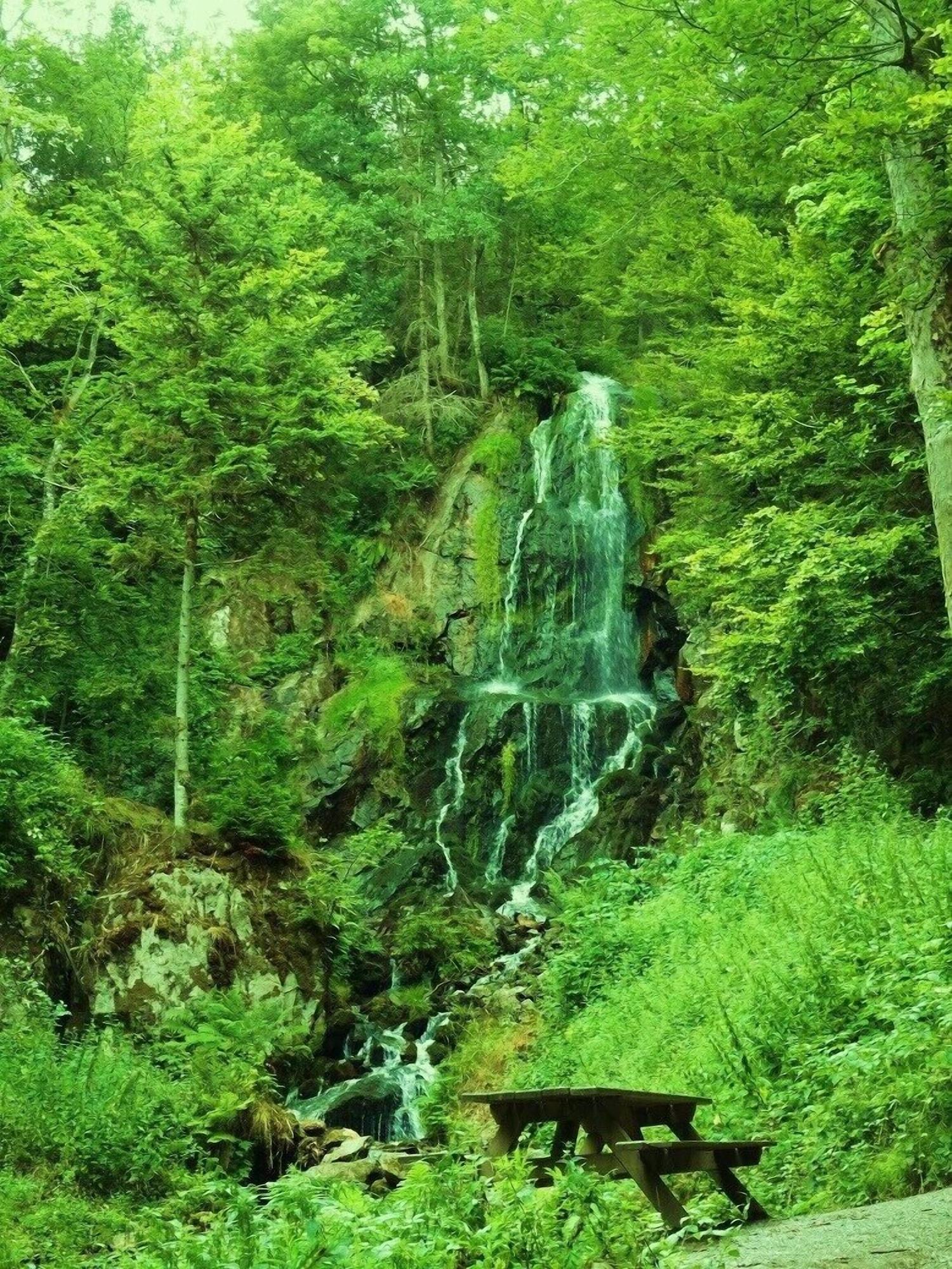 Equipamiento de Habitación Tilly's B&B