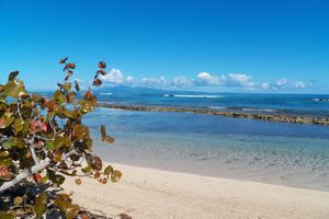 Alquiler Vacacional - Beautiful,Sandy Beach! 50 steps to the BEACH! You get the entire house!