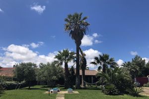 Alojamiento - Sa Pintadera Residence