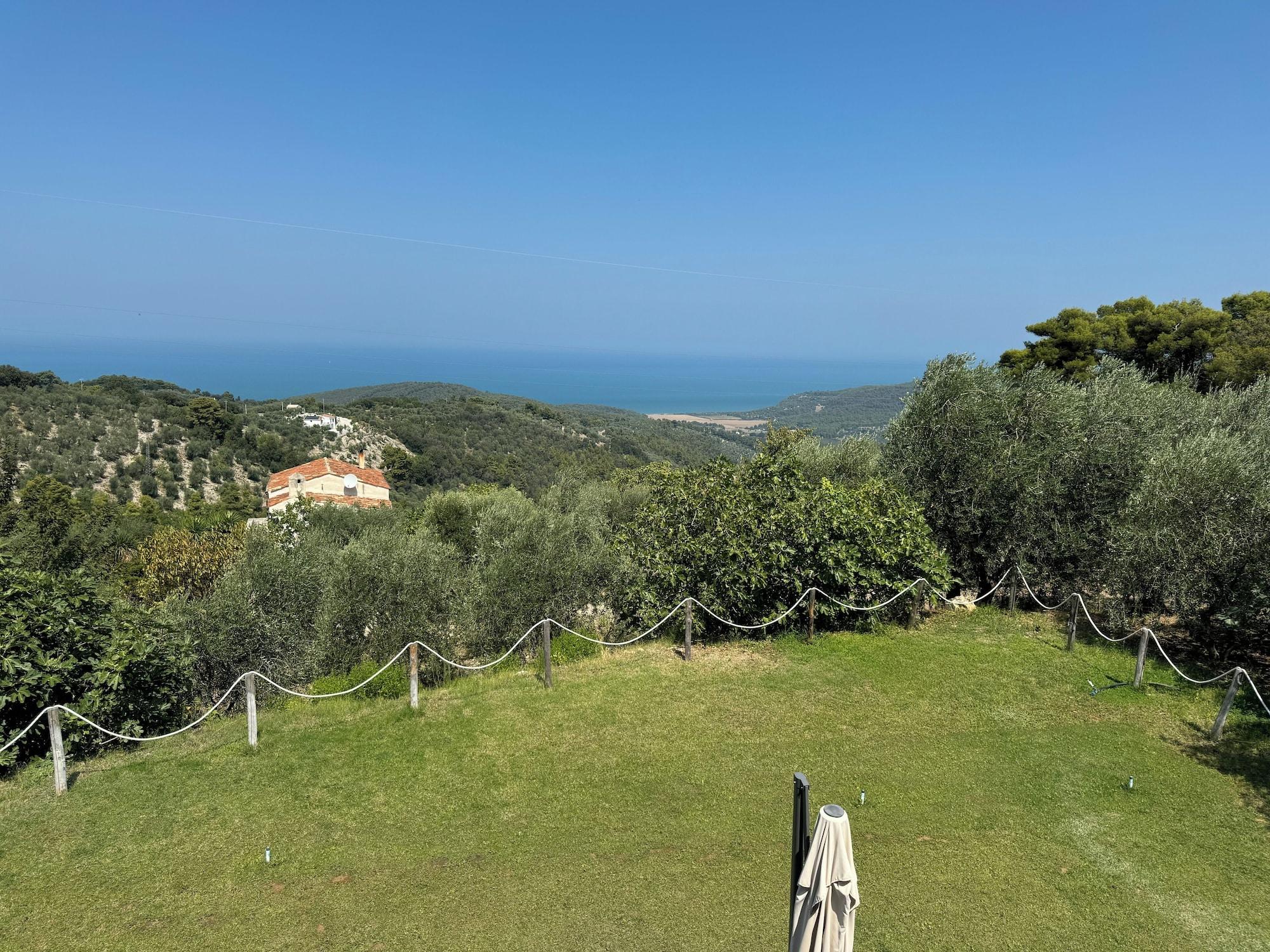 Vista Exterior Verde Matematico