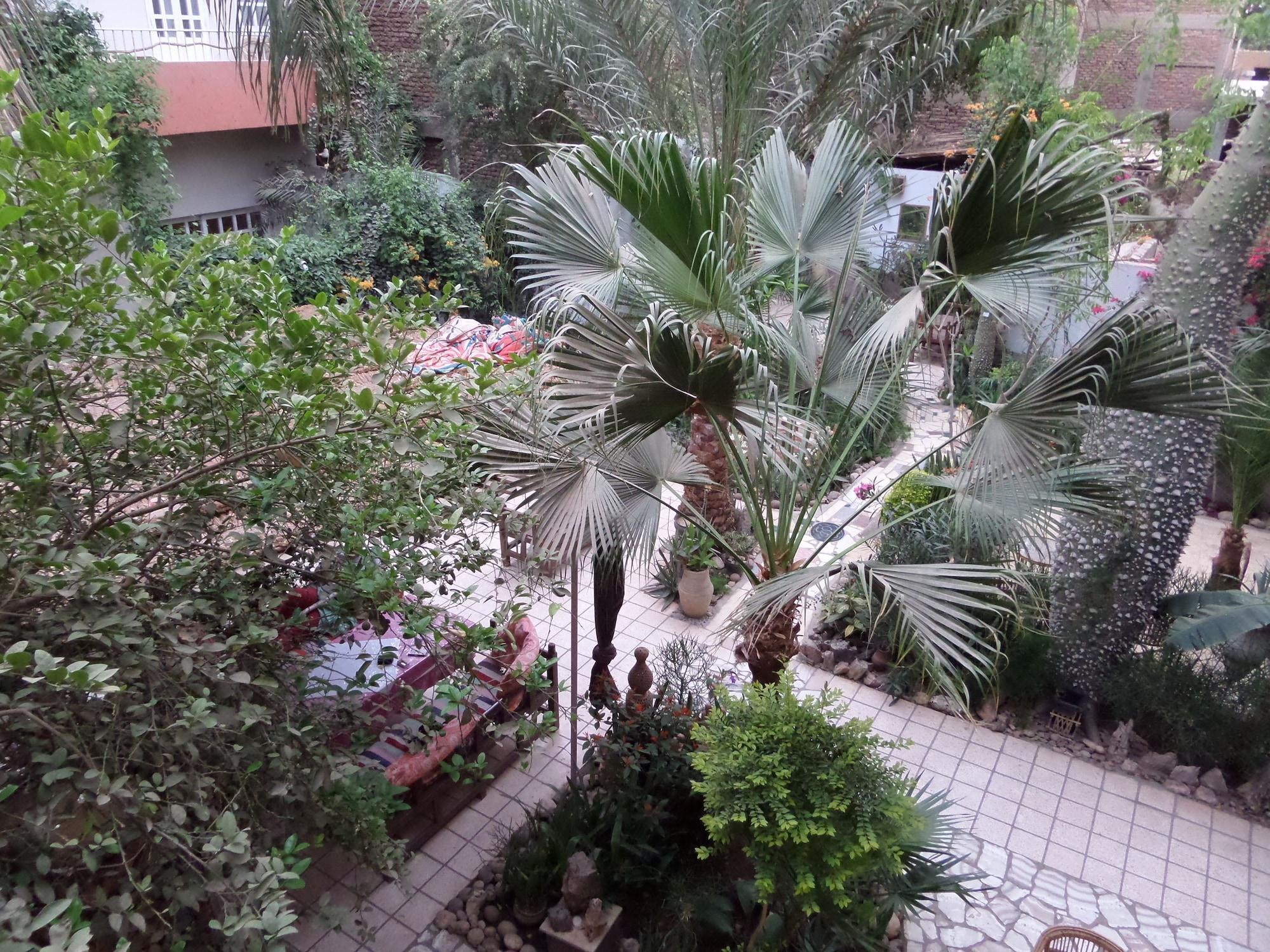 Instalaciones Recreativas Amon Hotel