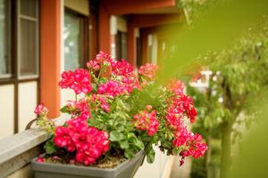 Alojamiento - Campanile Hotel & Restaurant Gouda