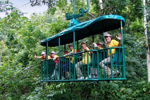 Actividad - Teleférico en el Parque Nacional Braulio Carrillo De San José