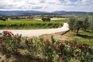 Alojamiento - Vallantica Resort & Spa