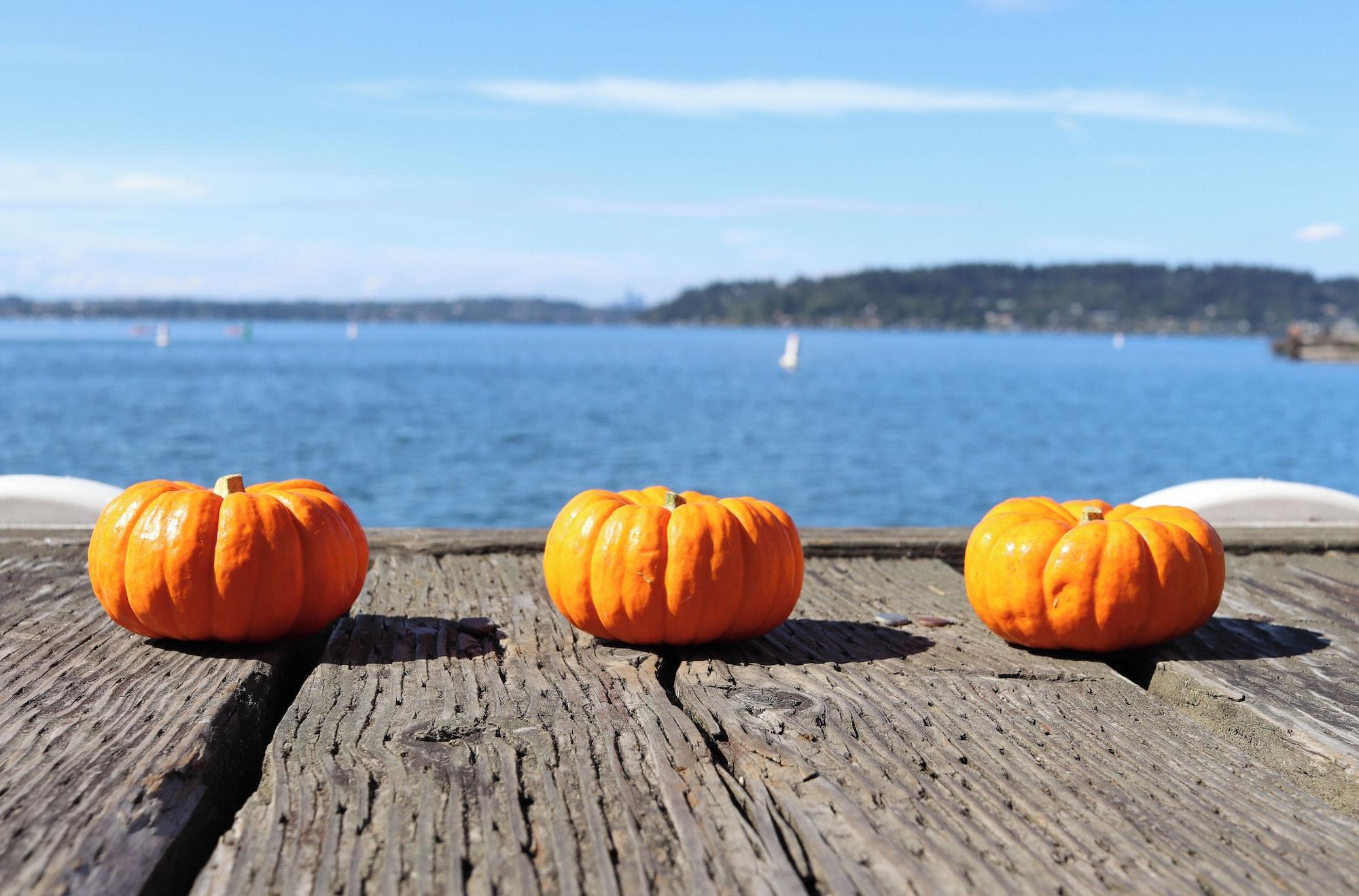 Vista Exterior Hyatt Regency Lake Washington at Seattle’s Southport