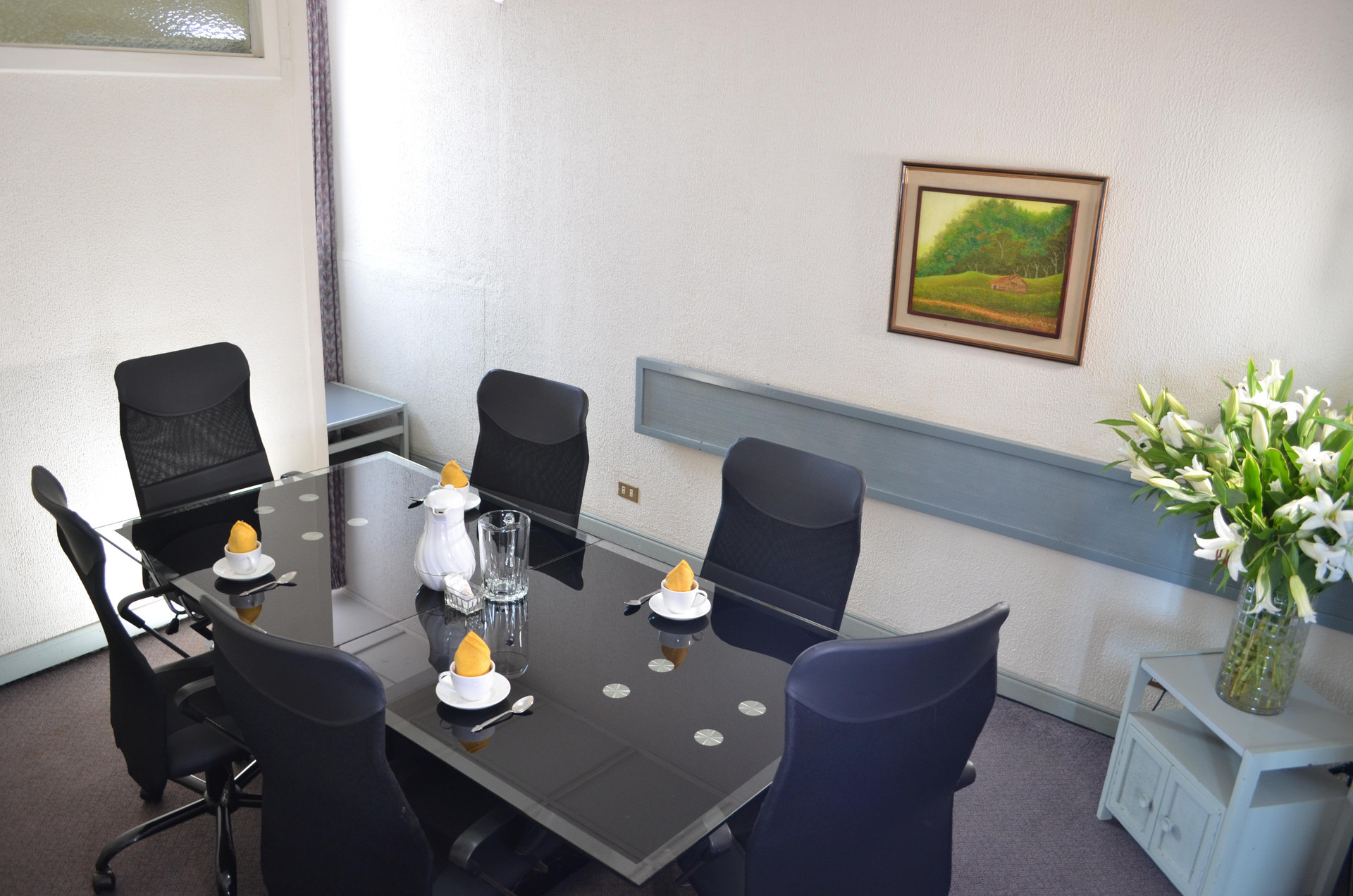 Sala de Reuniones Hotel Vesuvio