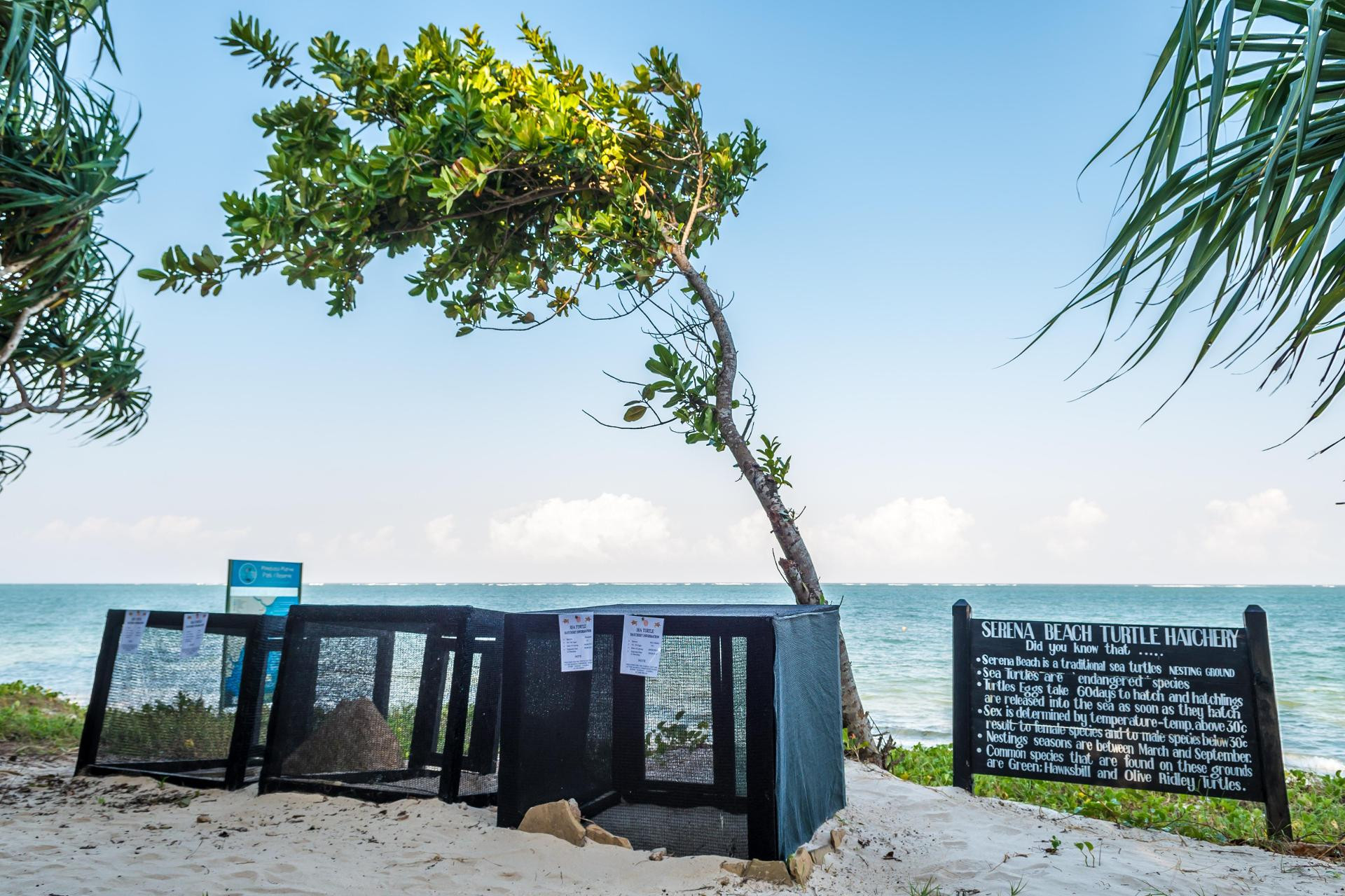 Vista Exterior Serena Beach Resort and Spa