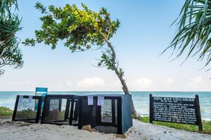 Alojamiento - Serena Beach Resort and Spa