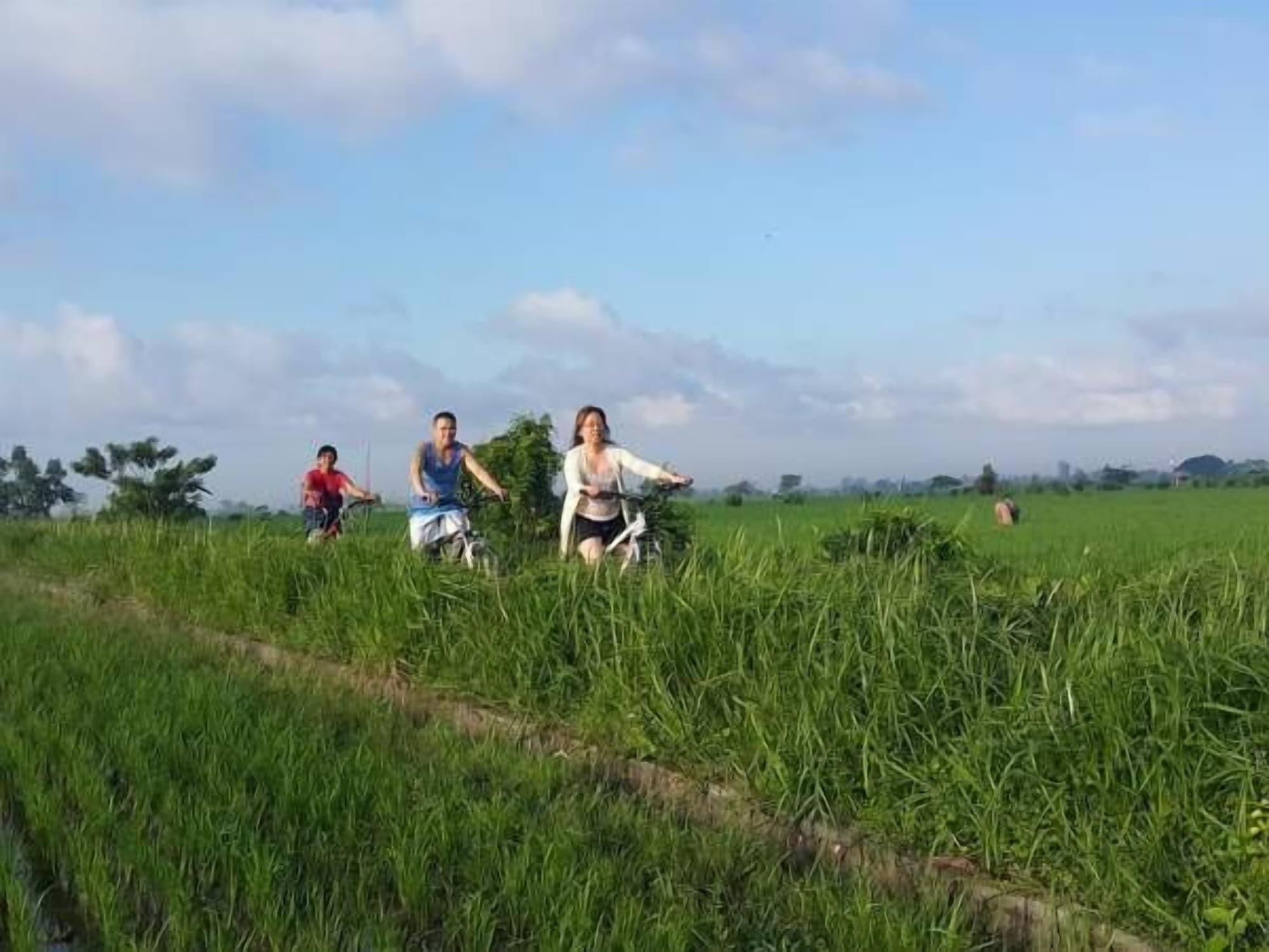 Instalaciones Recreativas Omah Lembu Villa