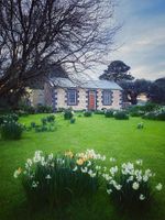 Alquiler Vacacional - Cherry Plum Cottages