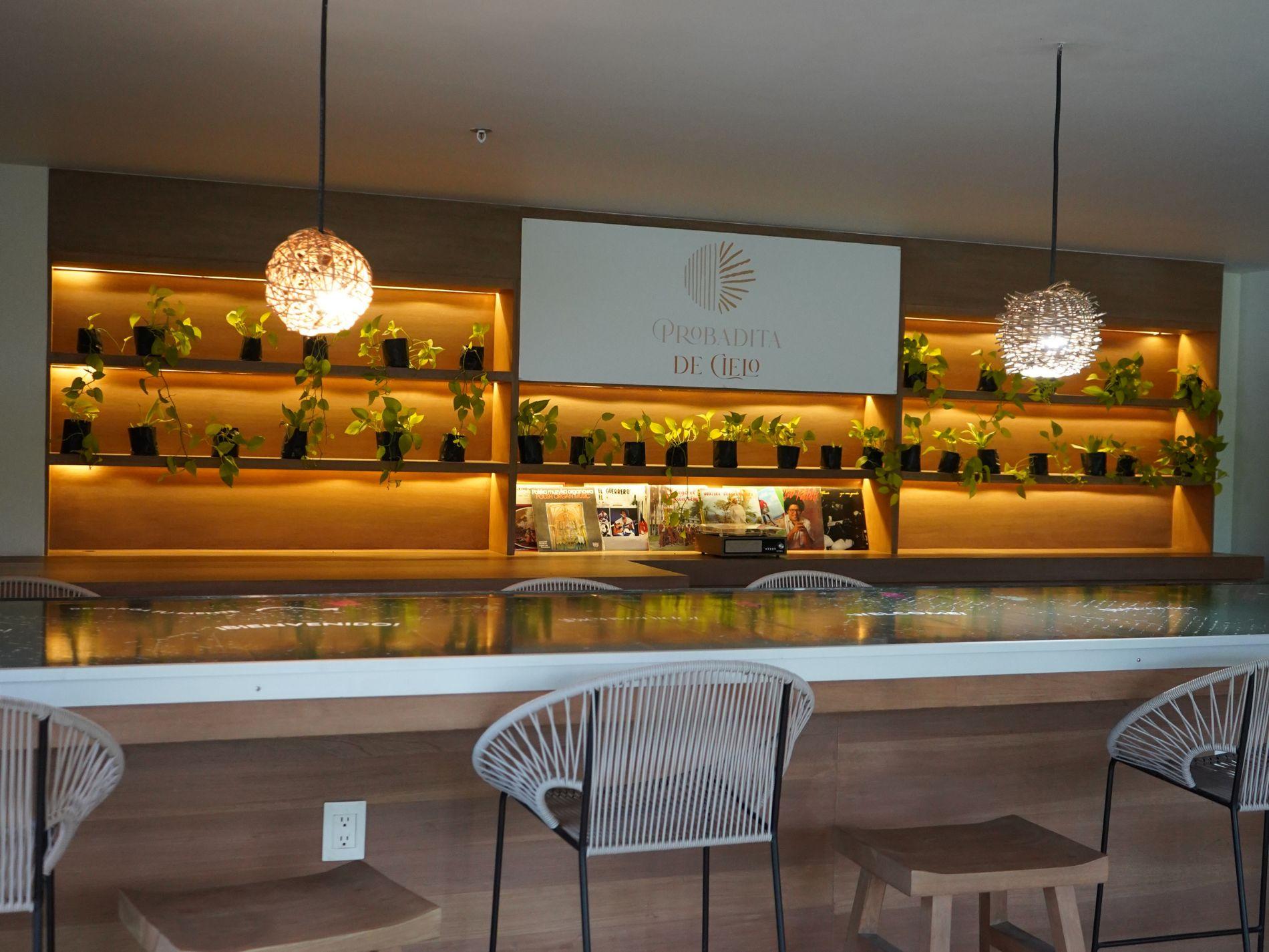 Vista Lobby Siente Tulum Hotel & Cenote Club