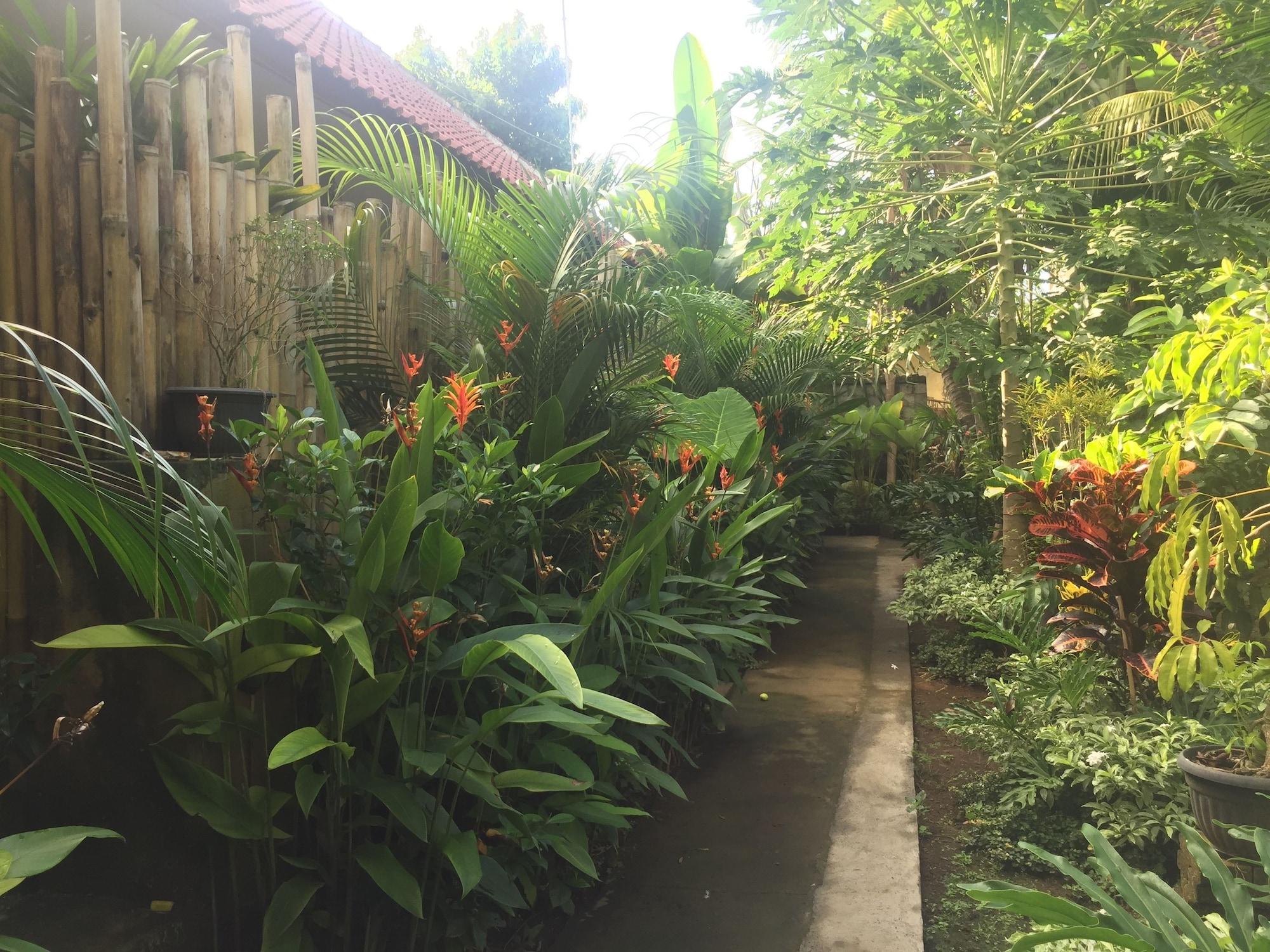 Vista Exterior Svaka Homestay