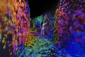 Passeio - Ingresso TeamLab Phenomena Abu Dhabi