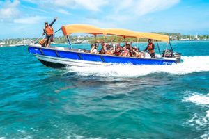 Actividad - Full Day: Jhohnny Cay, Acuario, Manglares, Bahía