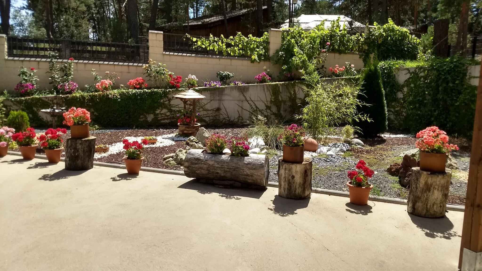 Vista Exterior El Nido de Pinares