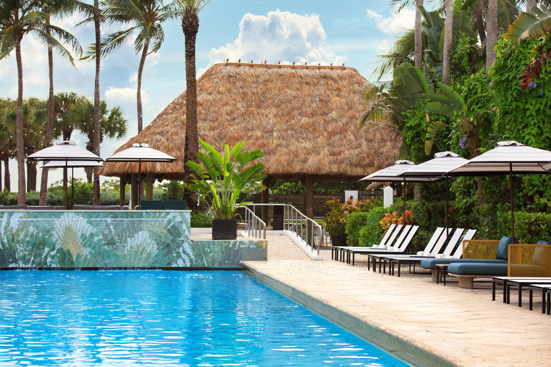 Vista Piscina Kimpton Surfcomber Hotel by IHG