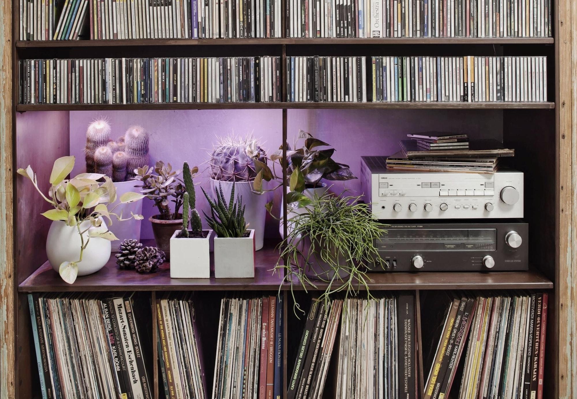 Instalaciones Recreativas B&B Design