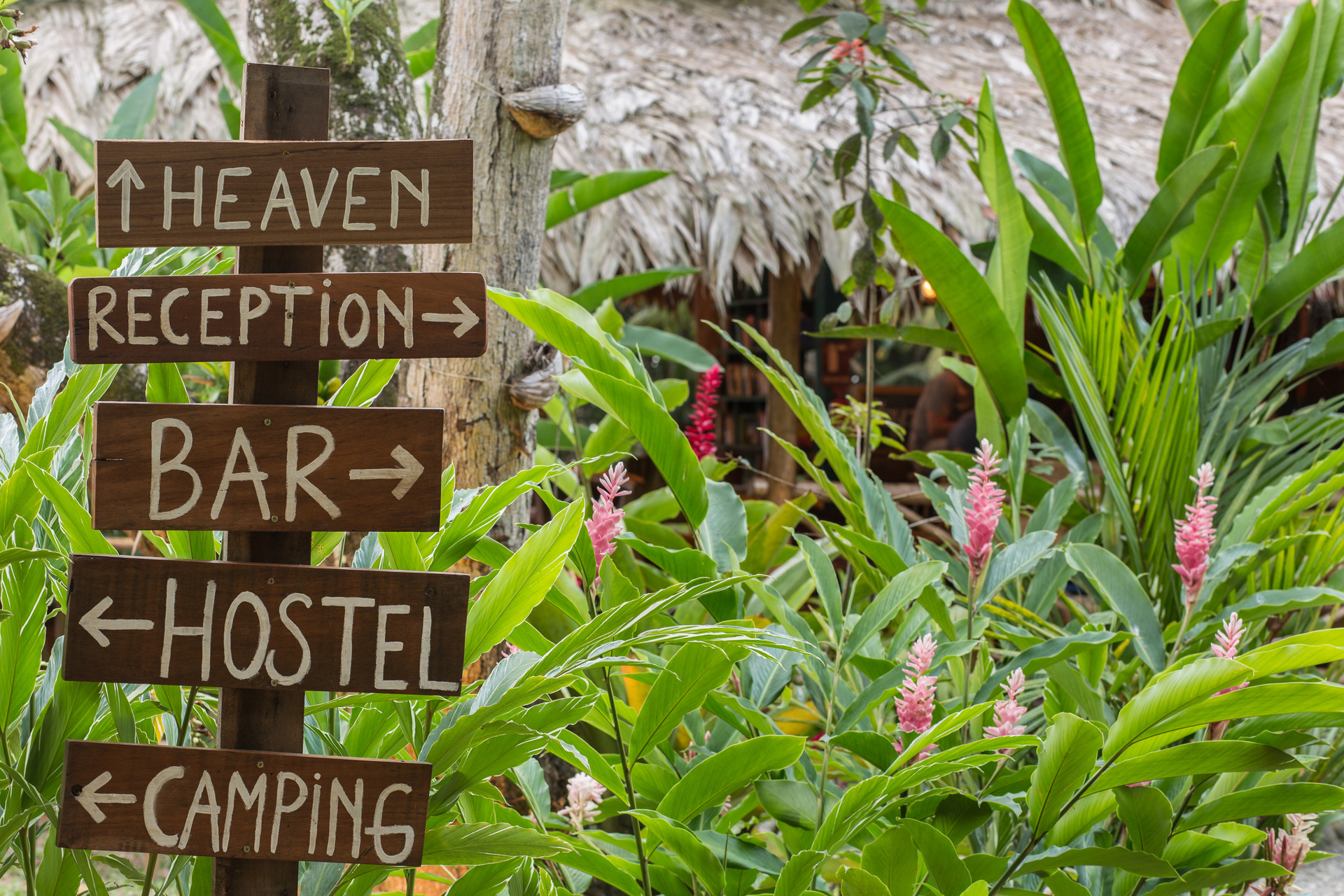 Varios Playa 506 Beachfront Hostel