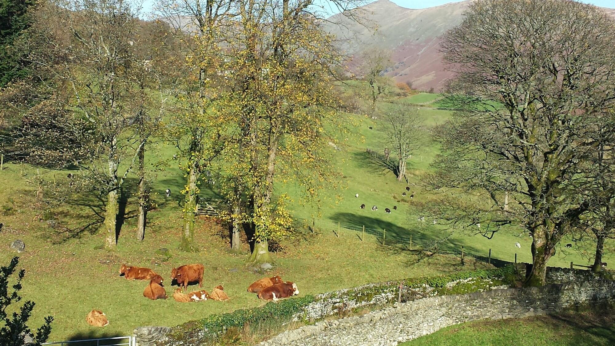 Habitación High Fold Guest House