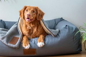 Alquiler Vacacional - StaynFeel 02