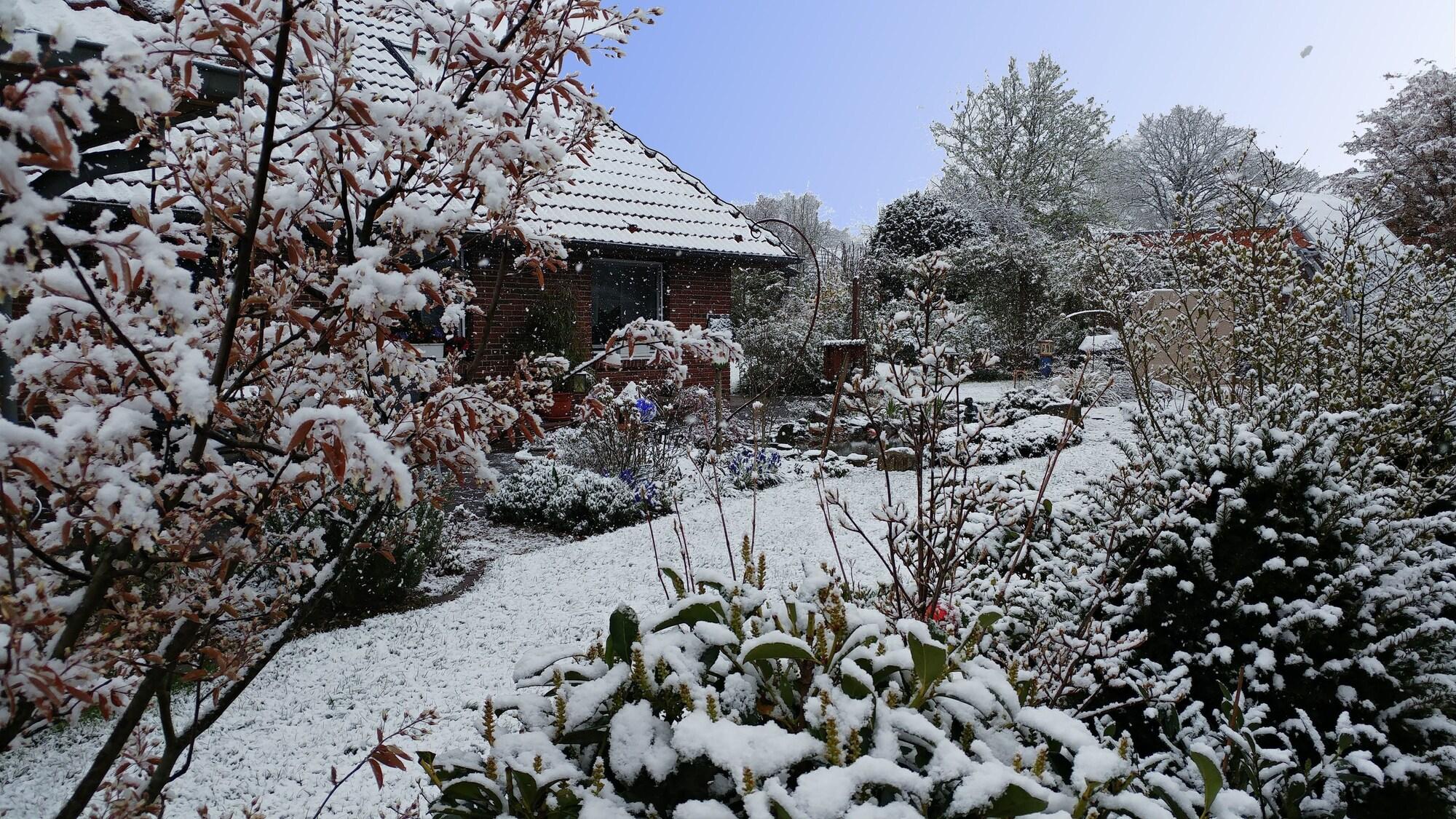 Vista Lobby Eulennest