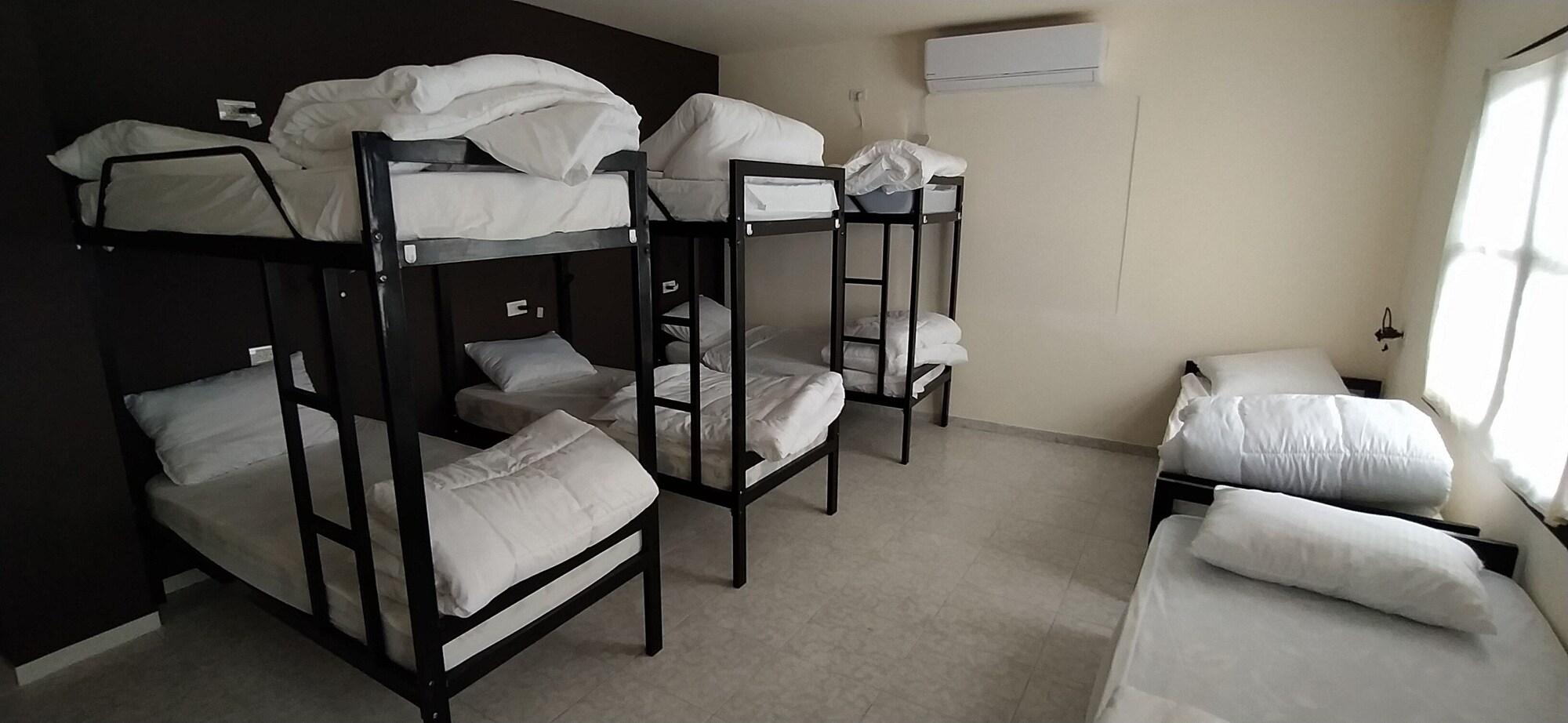 Habitación MOUNT41 Hostel