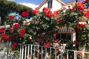 Alojamiento - Hotel Anna