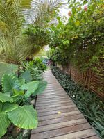 Alojamiento - Pousada Morro do Farol