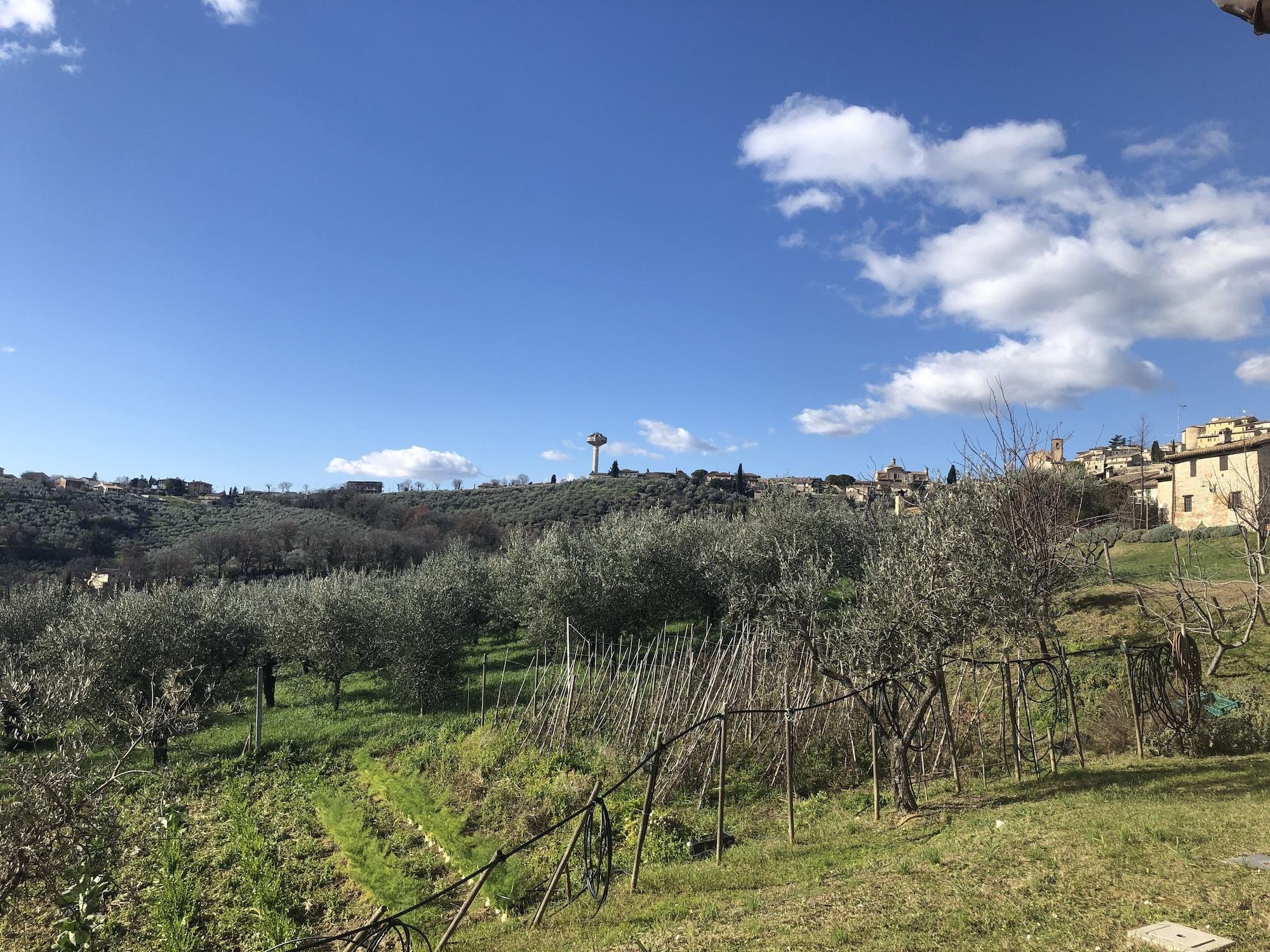 Varios Agriturismo Camiano Piccolo