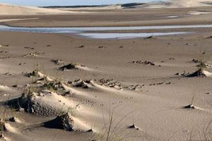 Actividad - Senderismo por el Parque das Dunas