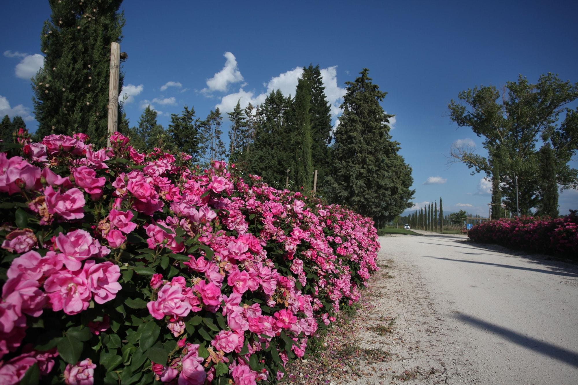 Vista Exterior Garden Resort & Spa San Crispino