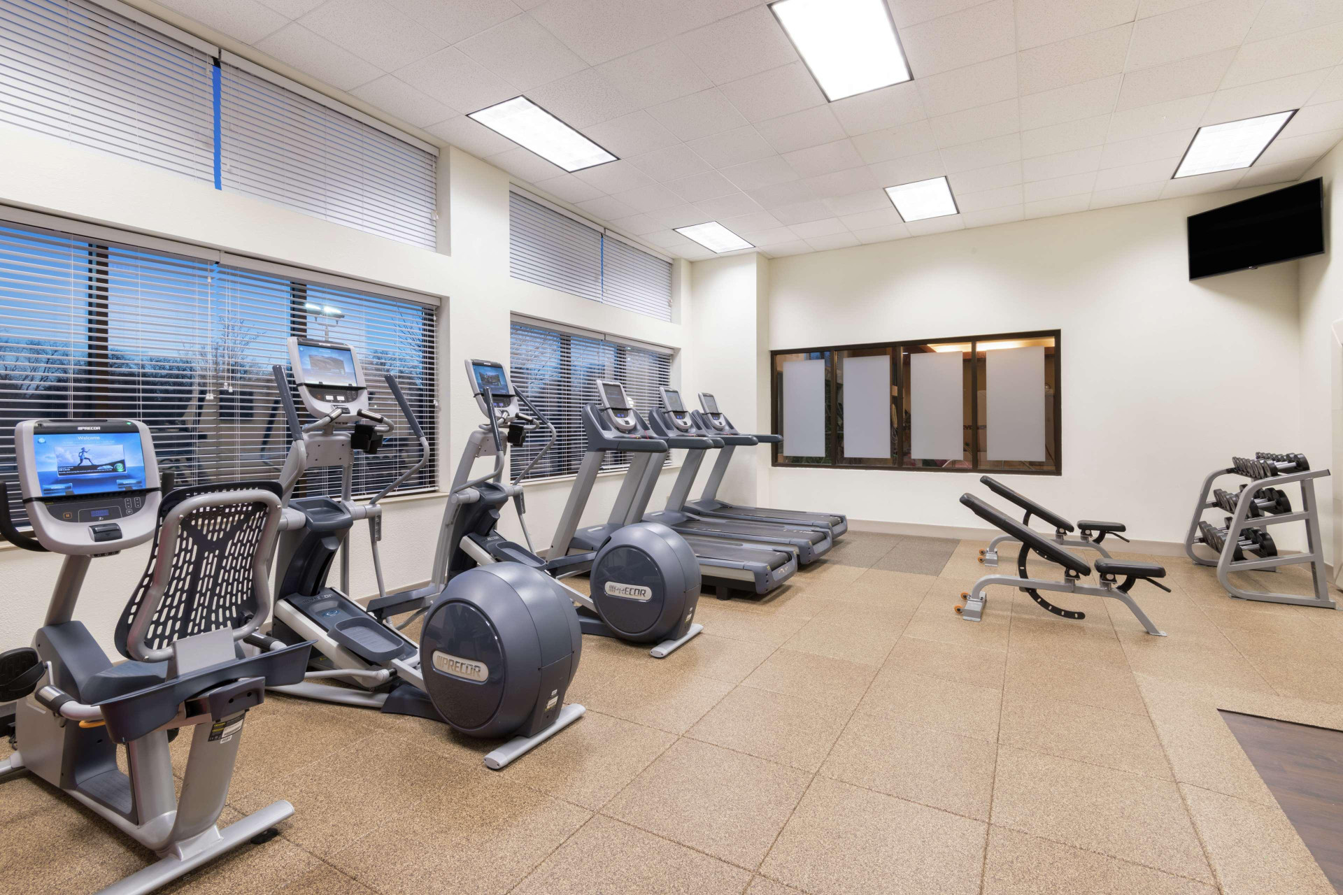 Instalaciones Recreativas Embassy Suites by Hilton St. Louis St. Charles