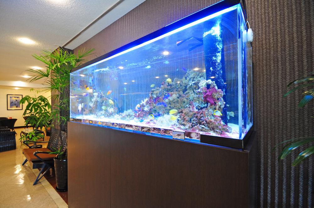 Vista Lobby Lit Hotel NAKIJIN