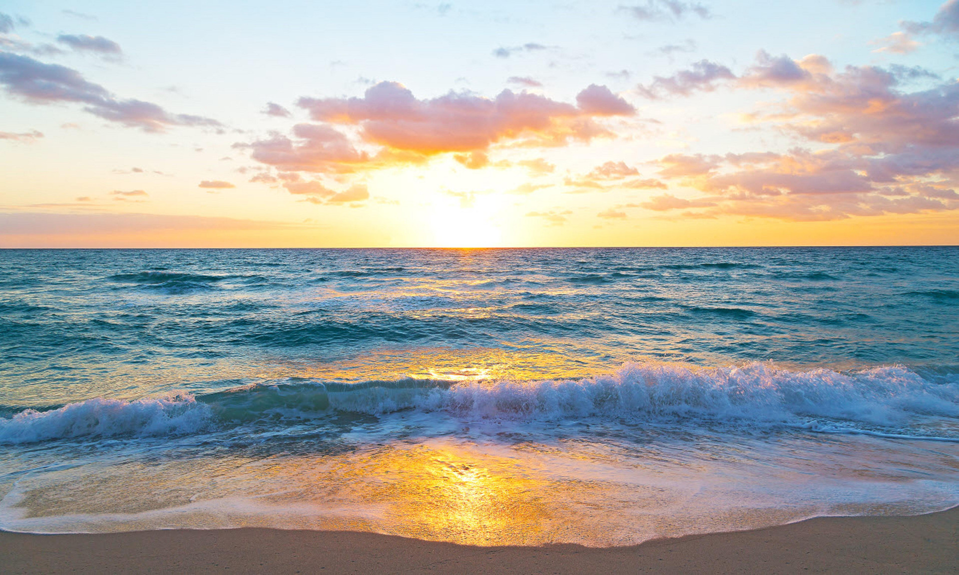 Playa Tideline Palm Beach Ocean Resort and Spa