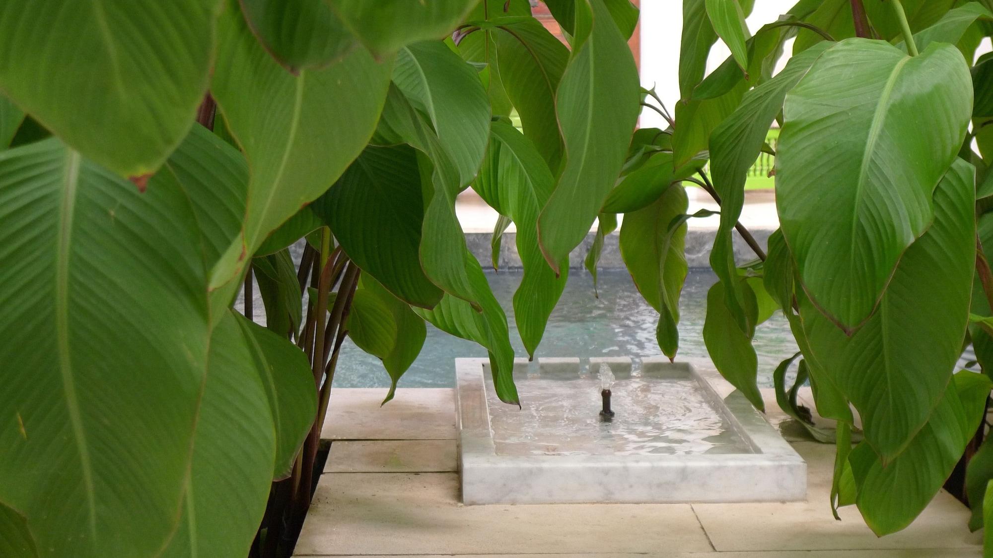 Vista Piscina Riad Due