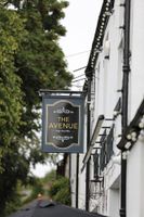 Alojamiento - The Avenue