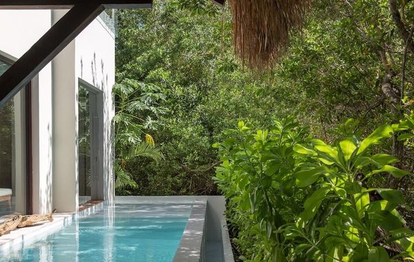 Chablé Maroma - Hoteles cerca de Parque Xcaret, México en Playa del Carmen