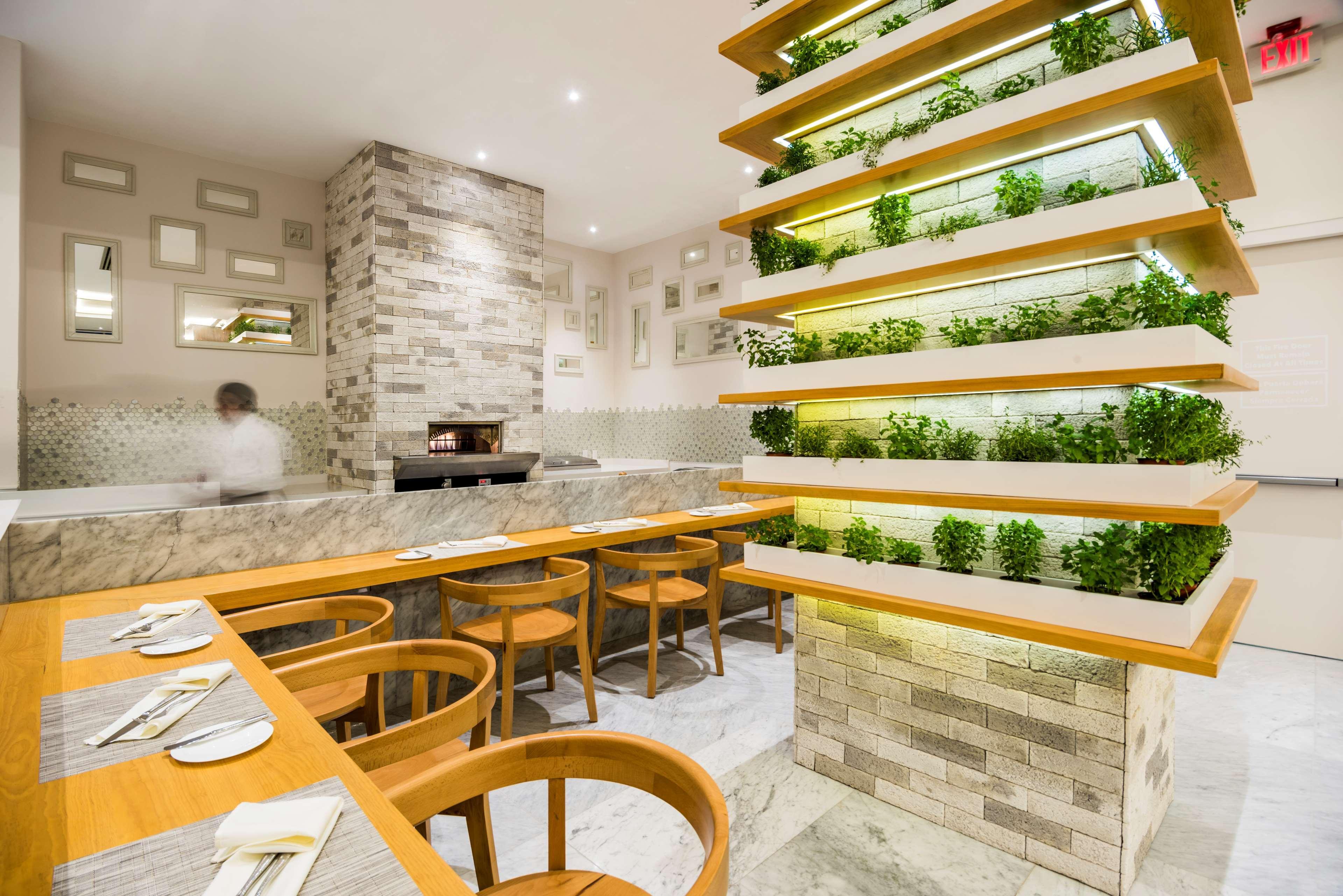 Restaurant Hyatt Regency San Luis Potosi