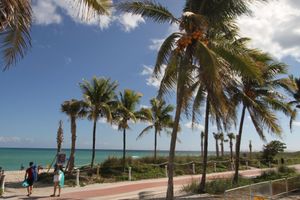 Alojamiento - Tropical Suites Inc.