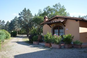 Alojamiento - Podere San Lorenzo