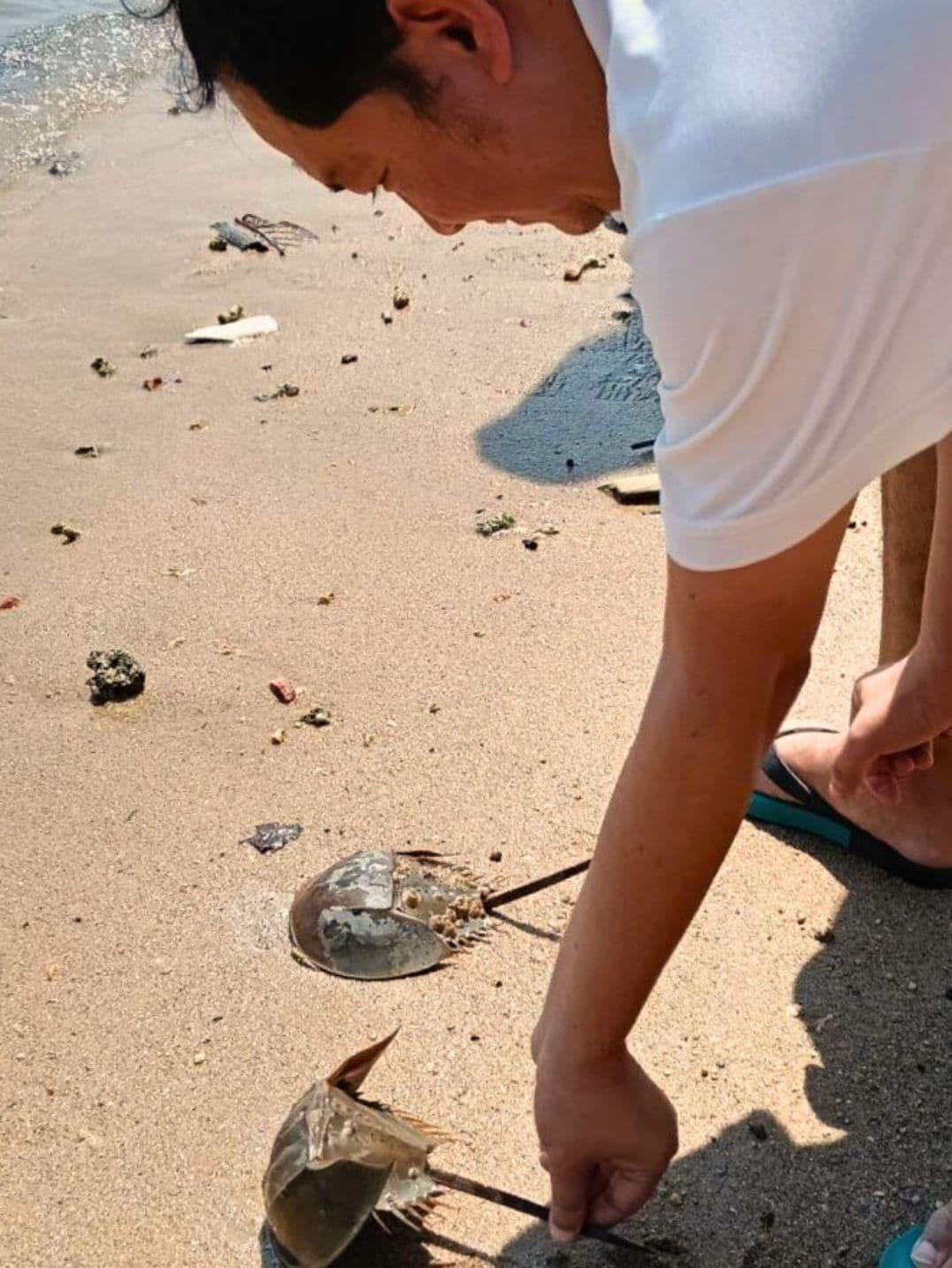 Instalaciones Recreativas 8IK88 Resort